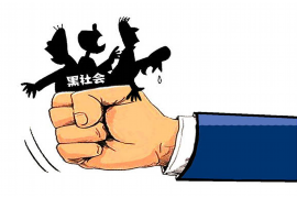 新蔡融资清欠服务